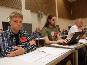 Edustajakokous 2013